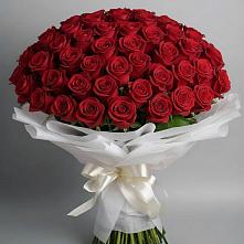 Букет 101 Красная роза Блэк Мэджик в Гайны