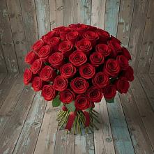 Букет 55 Красных роз Фридом #REPLACE_PRED# Гайны