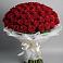 Букет 101 Красная роза Блэк Мэджик в Гайны
