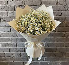 Букет цветов из:  Ромашки в Гайны