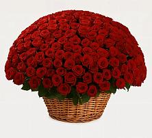 Премиум букет из: Розы в Гайны