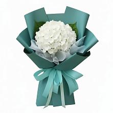 Букет цветов из:  Гортензия в Гайны